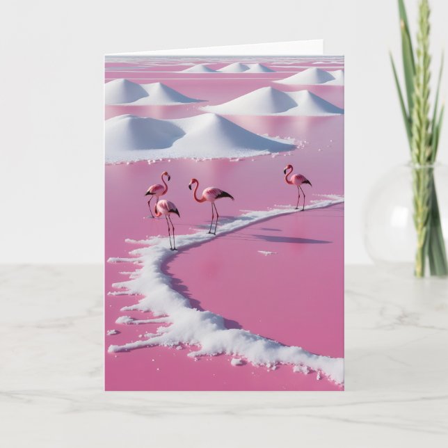 Carte Marais salants roses de bonaire (Devant)