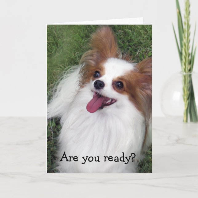 Carte Marchandises de Madi de héros de baiser de Hershey (Devant)