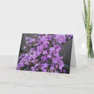 Carte Marchandises Purple Azaleas