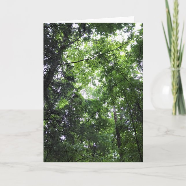 Carte Marche dans la forêt, Chester, Caroline du Sud (Devant)