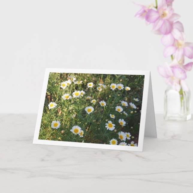 Carte Marguerite commune en herbe (Orchidée)