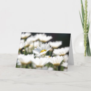 Carte Marguerite Daisy Card