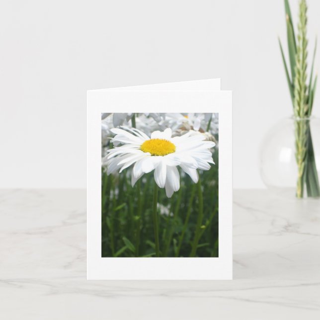 Carte Marguerite de ressort (Devant)
