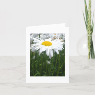 Carte Marguerite de ressort