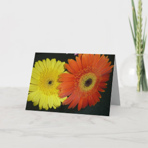 Carte Marguerite jaune et orange de Gerber