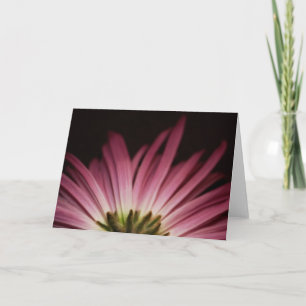 Carte Marguerite pourpre fanée