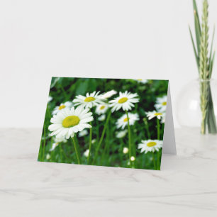 Carte Marguerites