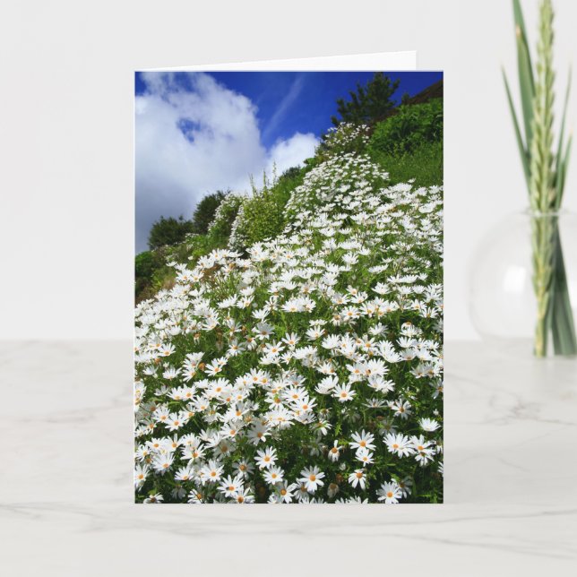 Carte Marguerites (Devant)