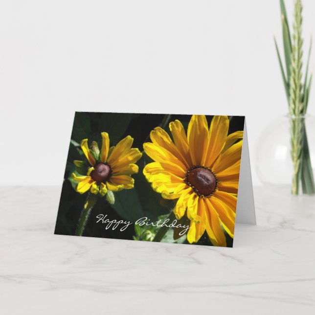 Carte Marguerites à œil noir pour un anniversaire (Devant)