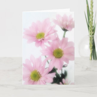 Carte Marguerites roses