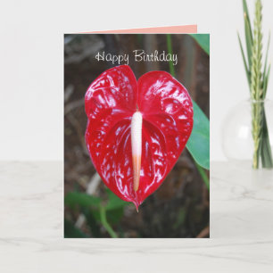 Carte Mari d'anniversaire Coeur rouge Anthurium Lily Fle