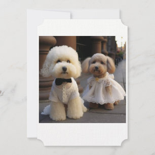 Carte Mariage Amoureux des chiens