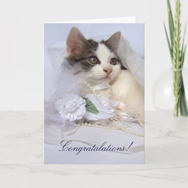 Carte mariage Kitten (Devant)