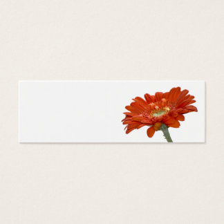Carte mariage - Orange Daisy Gerbera