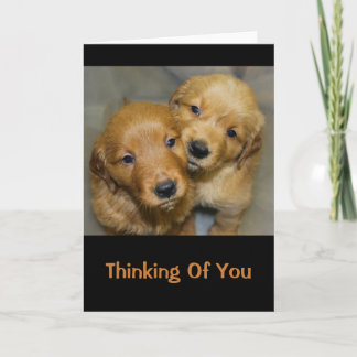 Carte Marionnettes Golden Retriever Qui Pensent À Vous