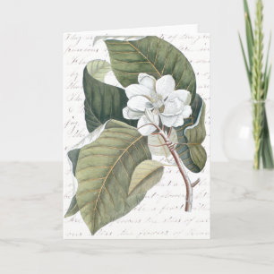 Carte Mark Catesby Magnolia Collage avec essai sur les f
