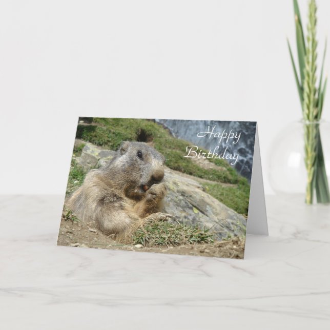 Carte Marmot birthday card (Devant)