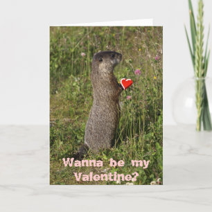 Carte Marmot Valentine
