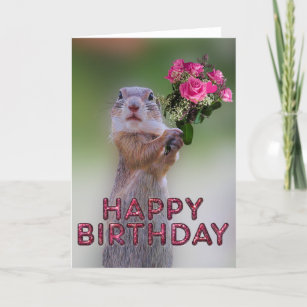 Cartes Marmotte D Anniversaire Zazzle Fr