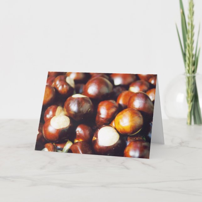 Carte Maronniers américains d'Ohio (Devant)