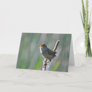 Carte Marsh Wren Singing Loud - Frameable Art Card