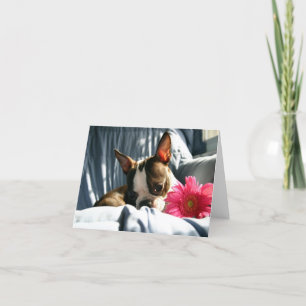 Carte Martha et Gerber Daisy