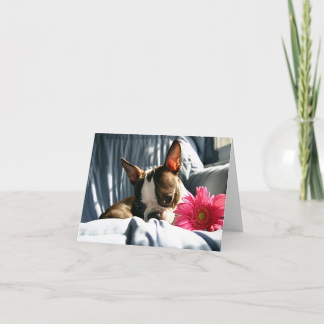 Carte Martha et Gerber Daisy (Devant)