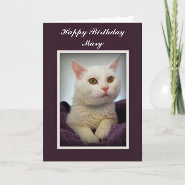 Carte Mary Happy Birthday White Cat Card (Devant)