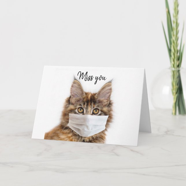Carte Mask wearing Maine Coon cat (Devant)