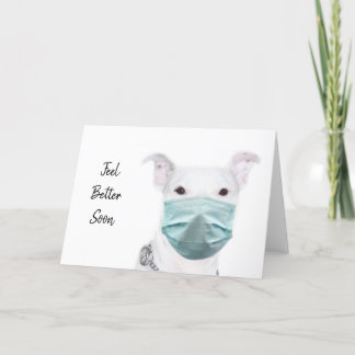 Carte Masque de visage en Pitbull
