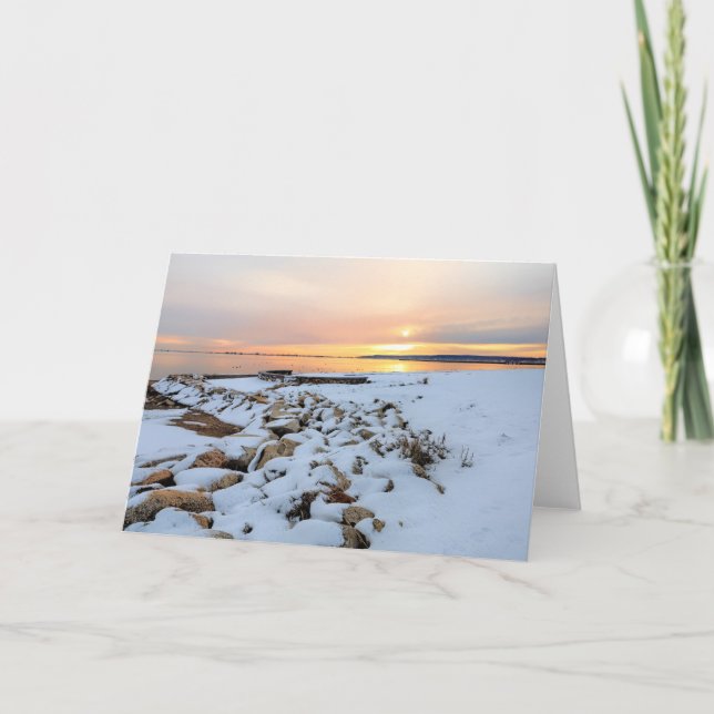 Carte Massachusetts Nelson Park Plymouth (Devant)