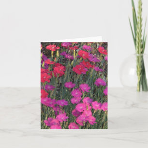 CARTE MASSE DE FLEURS ROSES ET ROUGES