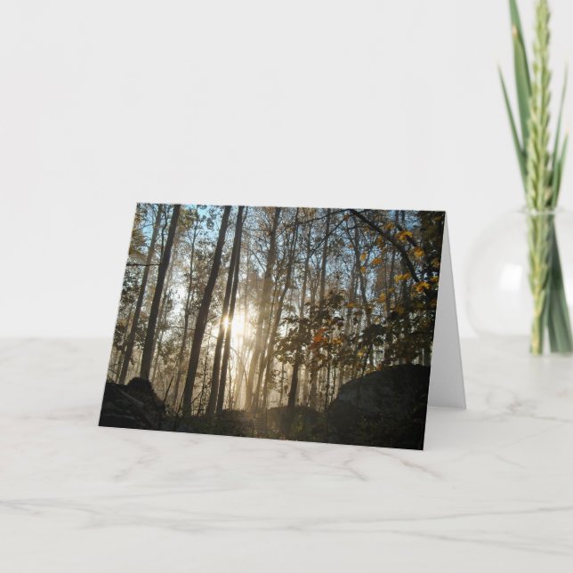 Carte Matin dans les bois de Pennsylvanie (Devant)