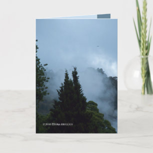 Carte Matin de Rotarua