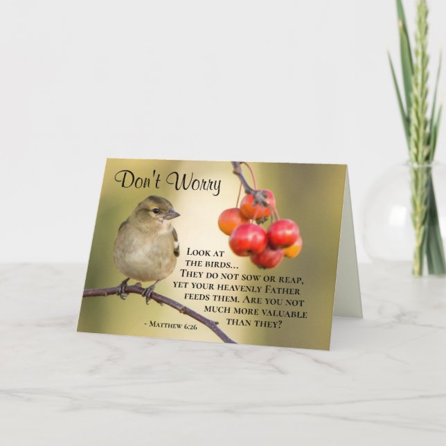 Carte Matthieu 6:26 Les oiseaux ne sement pas encore ni  (Devant)