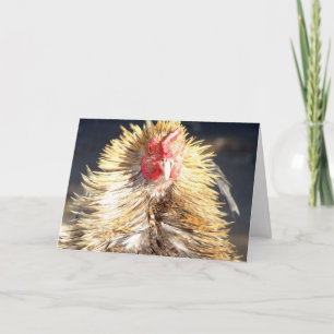 Carte Mauvaise journée des cheveux