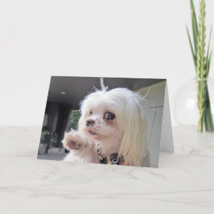 Carte Mauvaise journée des cheveux