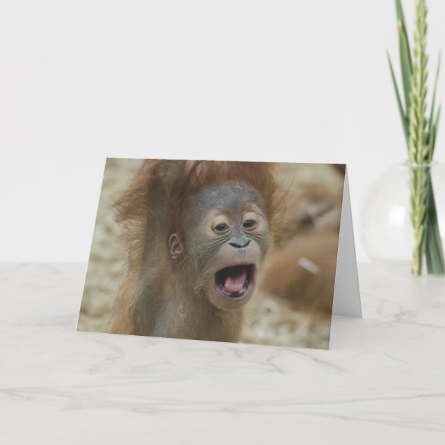 Carte Mauvaise journée des cheveux (Devant)