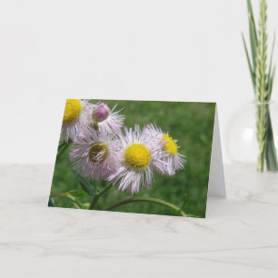 Carte Mauvaise mauvaise herbe rose et jolie