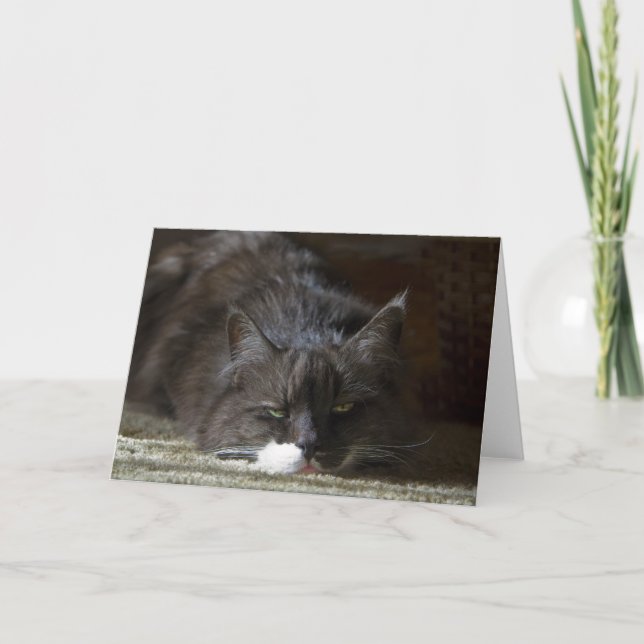 Carte Maximum (Devant)