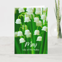 May Lily of the Valley Birth Moth Flower Anniversa