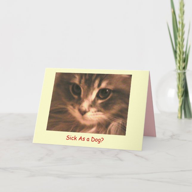 Carte Maynard le Maine Coon2, malade en tant que… - (Devant)