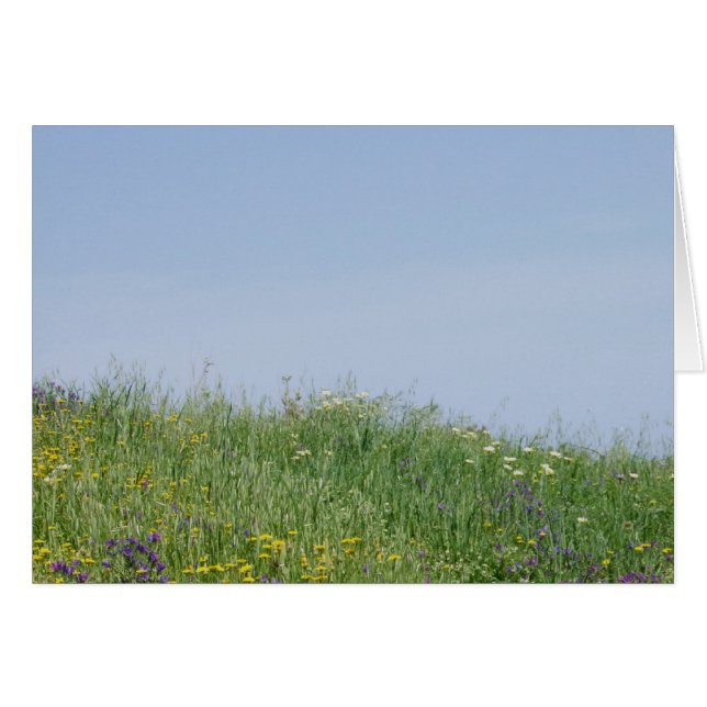 Carte Meadow Flower Summer (Devant horizontal)