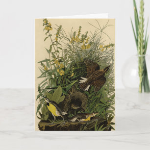 Carte Meadow Lark from Audubon's Birds of America