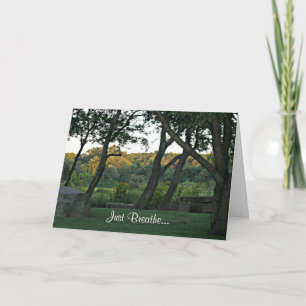 Carte Méditation dans le pré