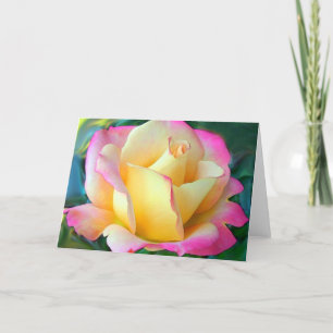 Carte Méditation Sur Un Rose