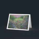 Carte Mediterranean Buckthorn, Rhamnus Alaternus Plant<br><div class="desc">Mediterranean Buckthorn,  Rhamnus Alaternus Plant Greeting Card. You can easily customize this product for free if you would like to add wording or change the color of the background.</div>