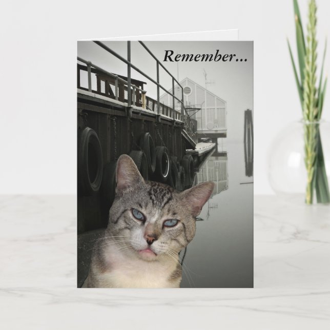 Carte Meece The Cat Encouragement (Devant)