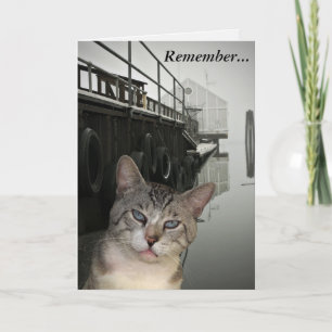 Carte Meece The Cat Encouragement