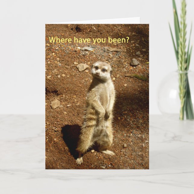 Carte meerkat (Devant)